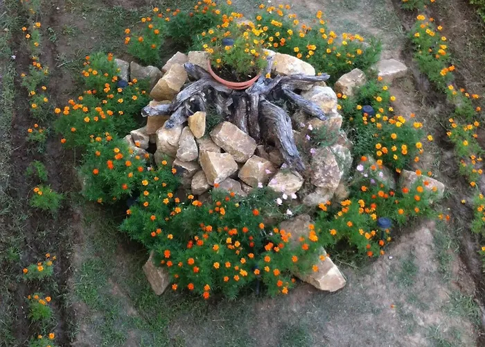 Loxandra 3* Metamorfosi (Sithonia)