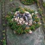 Loxandra 3* Μεταμόρφωση