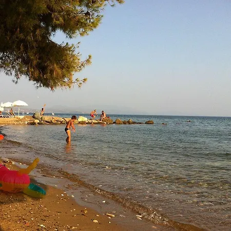 Loxandra 3*