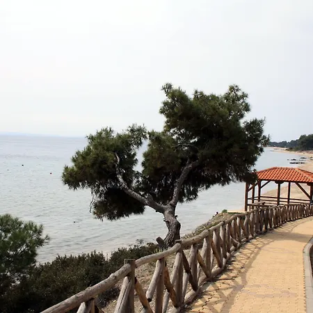 Loxandra 3* ميتامورفوسي