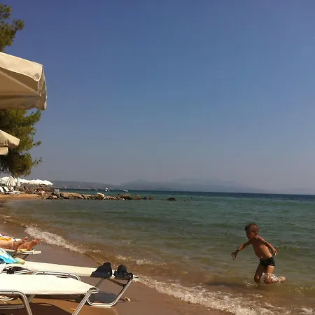 Loxandra 3*