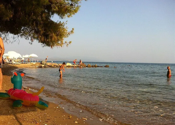 Loxandra 3*