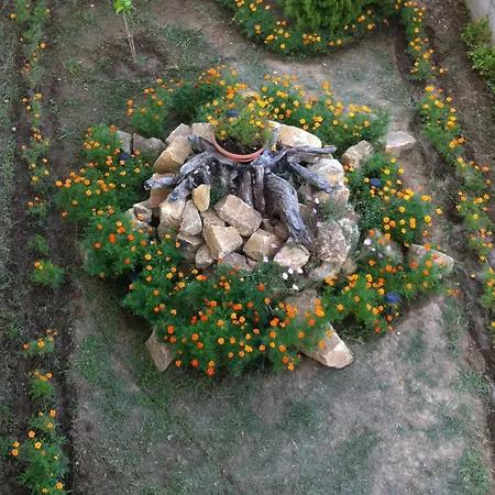 Loxandra 3* Metamorfosi (Sithonia)